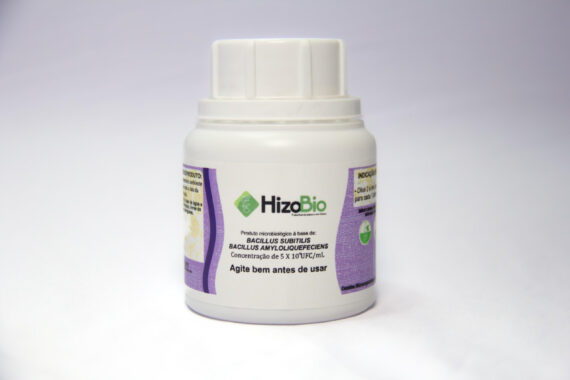 Bacillus Subitilis Bacillus Amyloliquefeciens