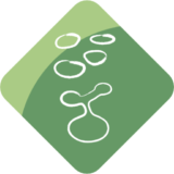 Conteúdo de marcação