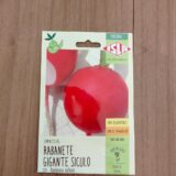 Rabanete Gigante Sículo Vermelho